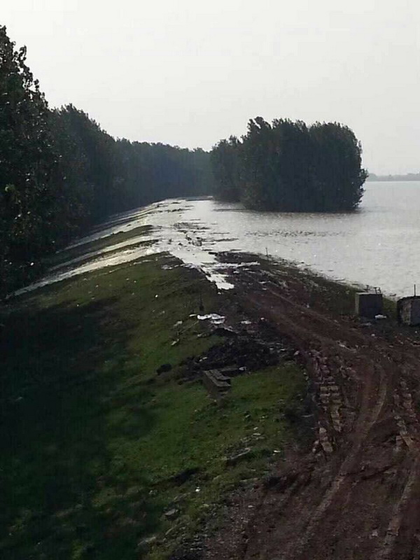 103141135.jpg 1552615162578088.jpg