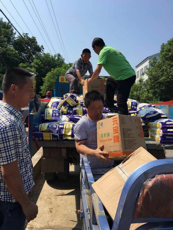 103455412.jpg 1552615162675641.jpg