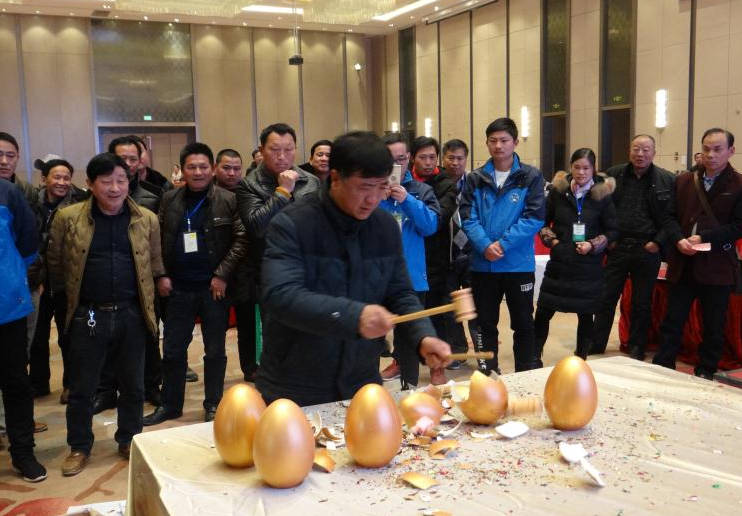 164122682.png 1552615768594570.png