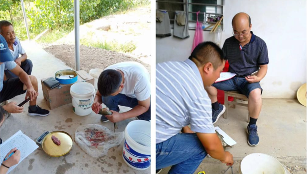 172531181.png 1552615847847424.png